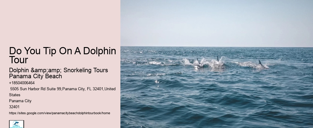 Do You Tip On A Dolphin Tour