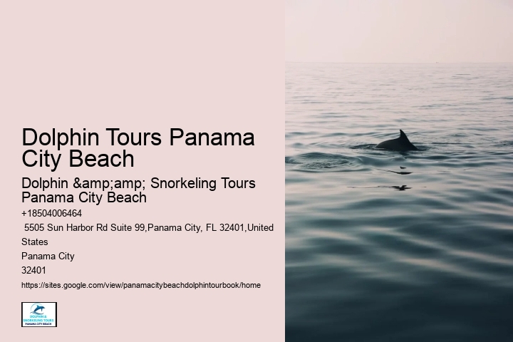 Dolphin Tours Panama City Beach