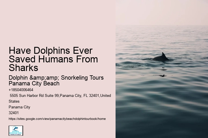 Have Dolphins Ever Saved Humans From Sharks