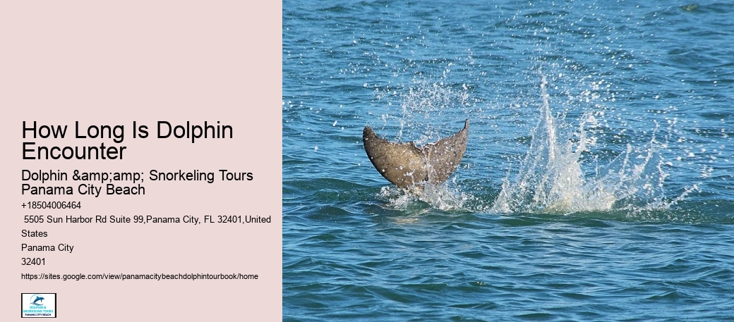 Panama City Beach Dolphin Tours – Booking