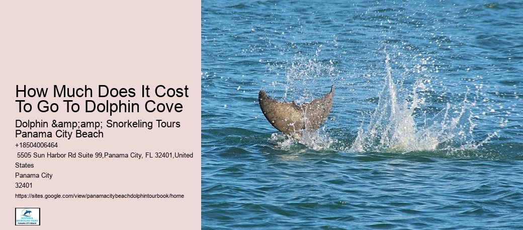 How Much Does It Cost To Go To Dolphin Cove