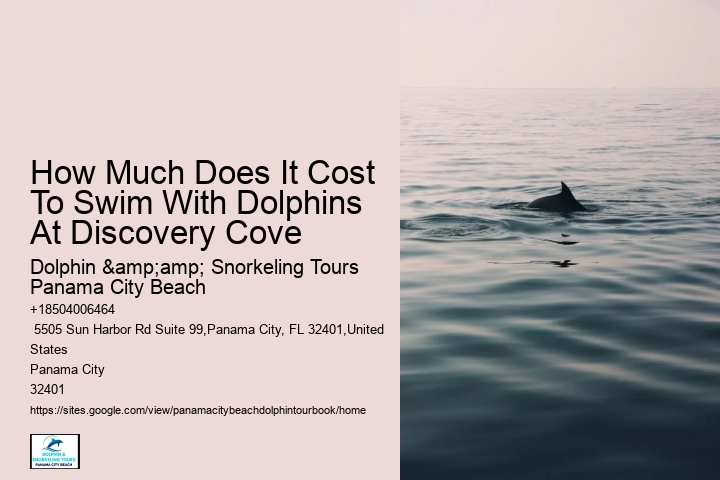 How Much Does It Cost To Swim With Dolphins At Discovery Cove