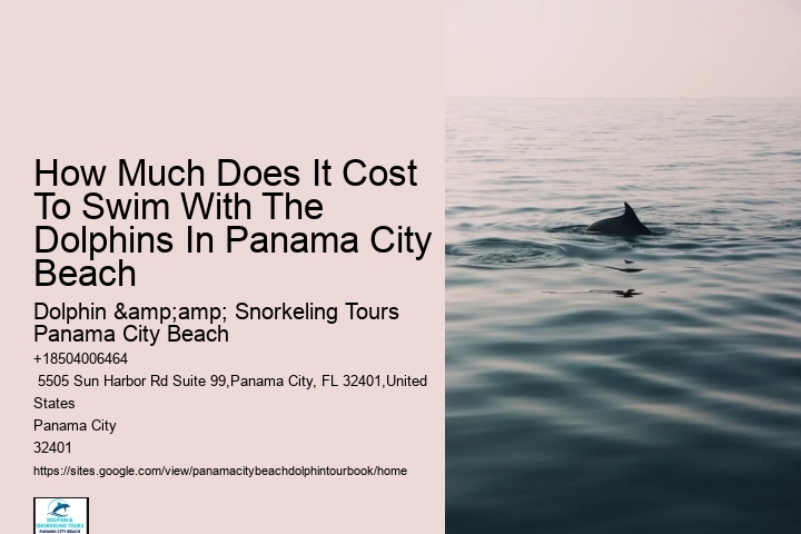 How Much Does It Cost To Swim With The Dolphins In Panama City Beach