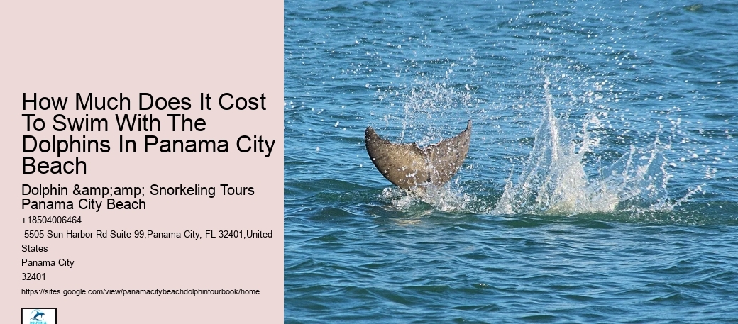 Book Your Panama City Beach Dolphin Tour Early For An Optimal Experience