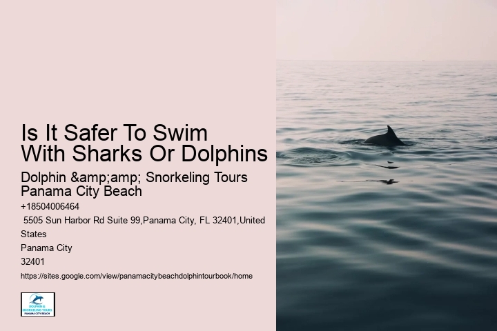 Is It Safer To Swim With Sharks Or Dolphins