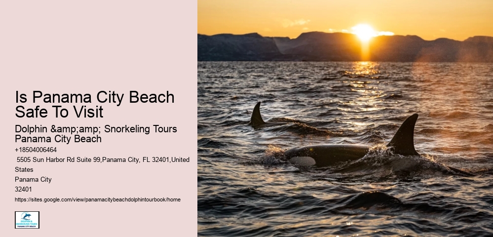 Discover The Beauty Of Marine Life On A Booked Dolphin Tour In Panama City Beach