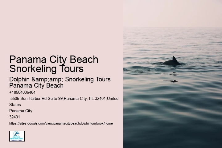 Plan Ahead And Book Your Spot On Our Popular Dolphin Tours In Panama City Beach