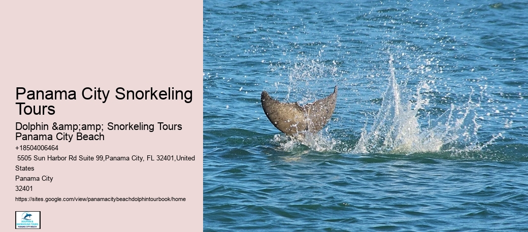 Panama City Snorkeling Tours