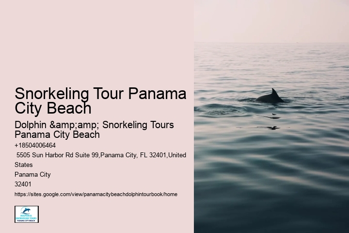 Snorkeling Tour Panama City Beach