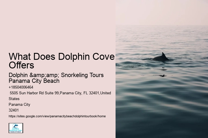 Create Magical Moments With A Booked Dolphin Tour In The Coastal Paradise Of Panama City Beach