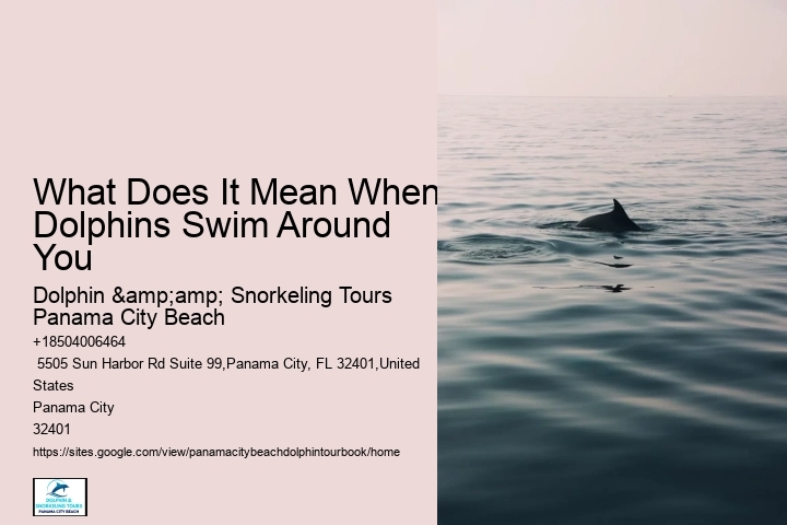 What Does It Mean When Dolphins Swim Around You