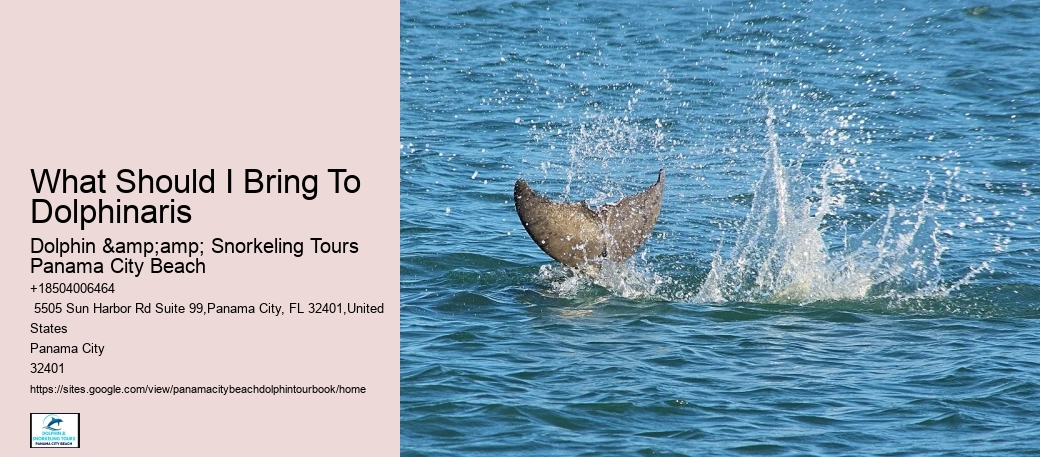 Secure Your Spot On Our Dolphin Tours In Panama City Beach