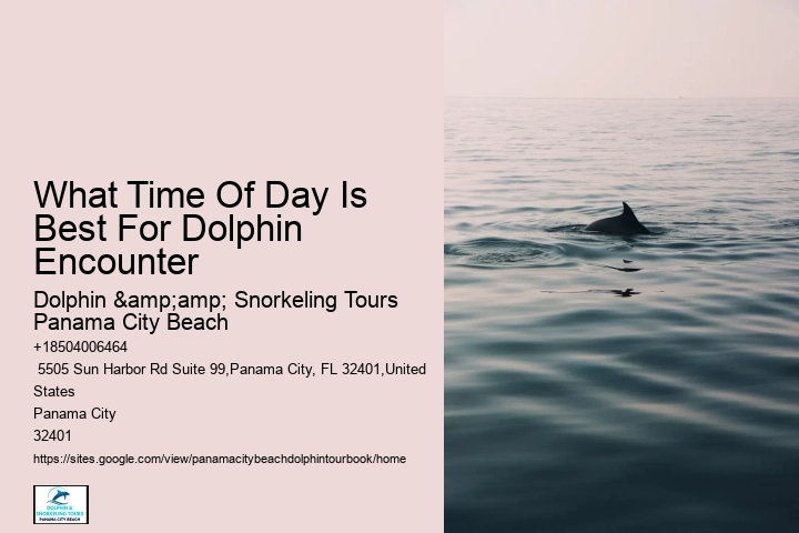 Dive Into Adventure By Securing Your Booking For Our Dolphin Tours In Panama City Beach