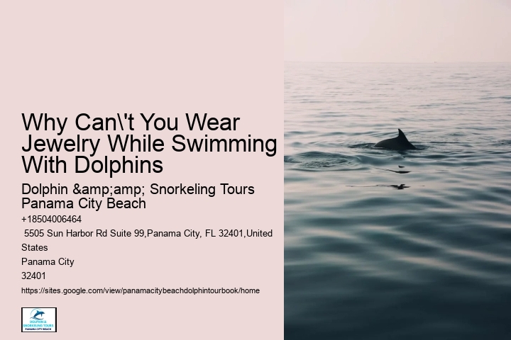 Why Can't You Wear Jewelry While Swimming With Dolphins