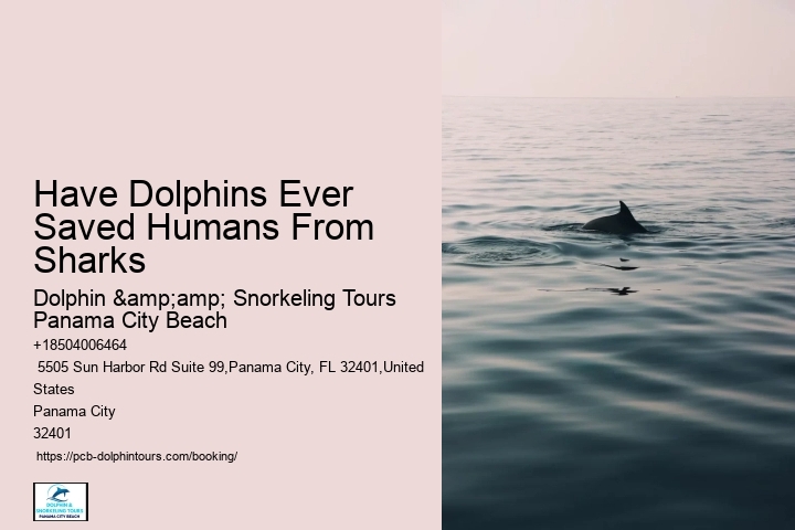 There Have Been Occasions When Dolphins Have Reportedly Saved