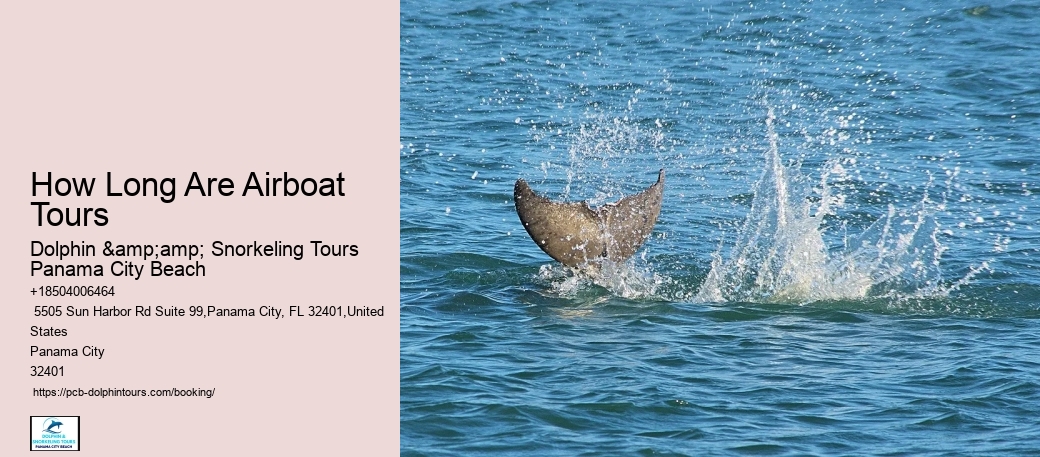 Ensure Your Spot On A Guided Dolphin Tour For An Unforgettable Experience In Panama City Beach