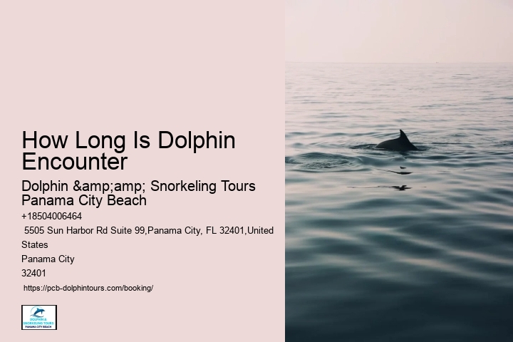 Ensure Your Spot On A Guided Dolphin Tour And Witness The Charm Of Panama City Beach