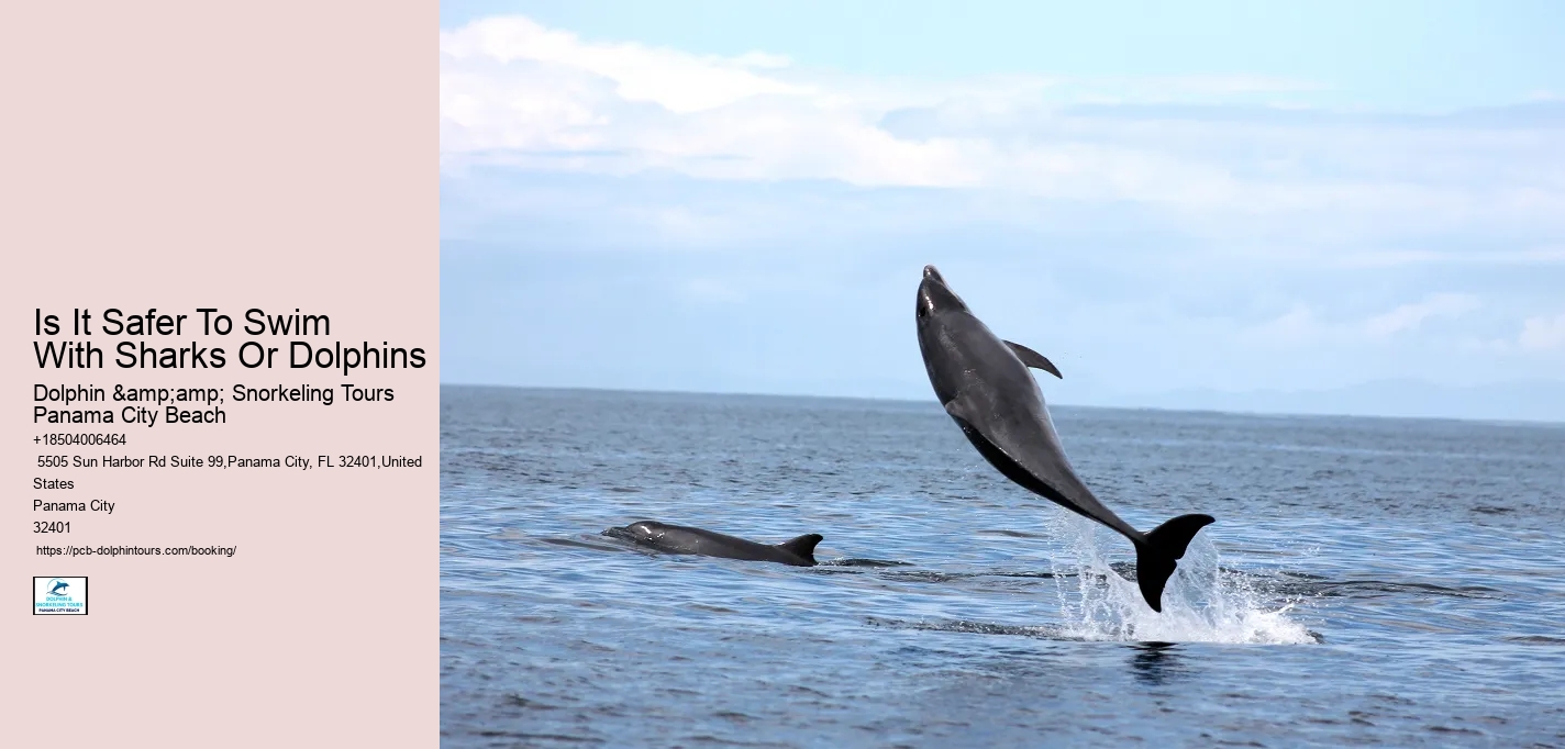 Is It Safer To Swim With Sharks Or Dolphins