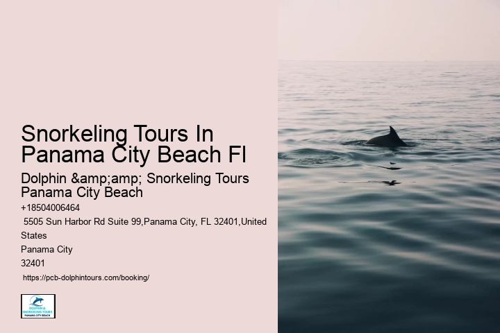 Faq: What To Do If You See A Stranded Dolphin