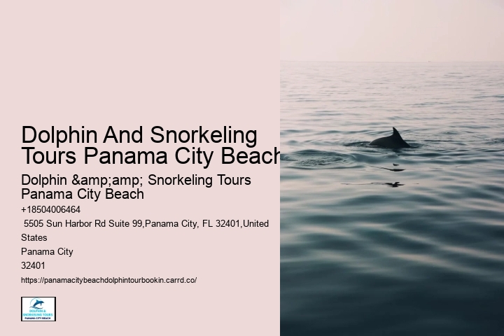 Ensure Your Place On A Guided Dolphin Tour