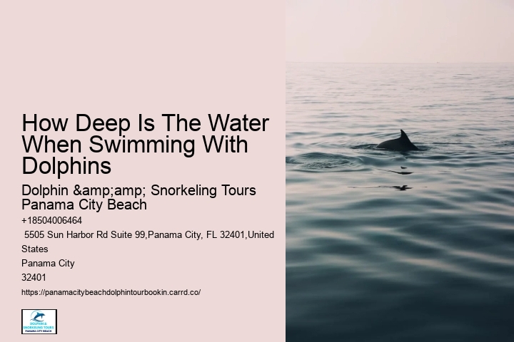 Ensure Your Seat On Our Panama City Beach Dolphin Tours By Making A Reservation