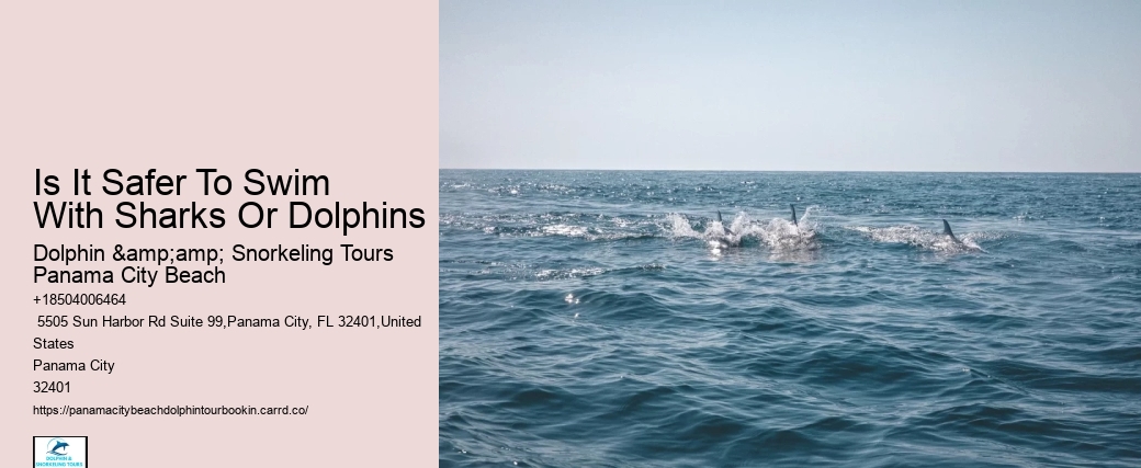 City Beach Dolphin