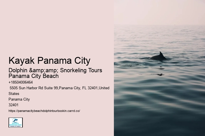 Dolphin Swims: A Code Of Conduct