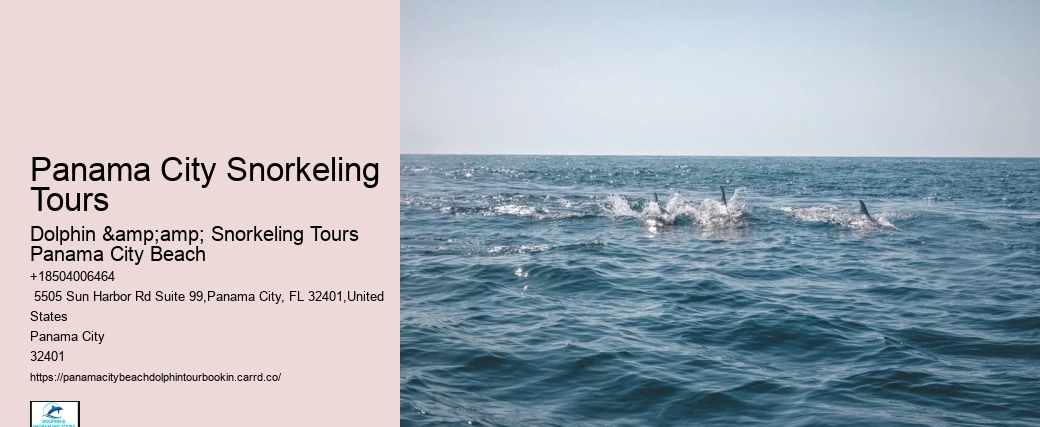 Panama City Snorkeling Tours