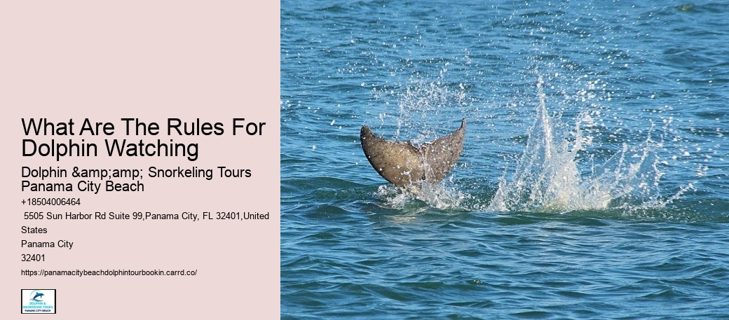 Dolphins Do Not Swim With People