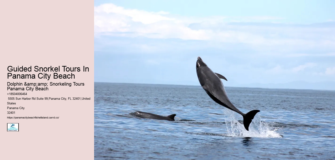 Guided Snorkel Tours In Panama City Beach