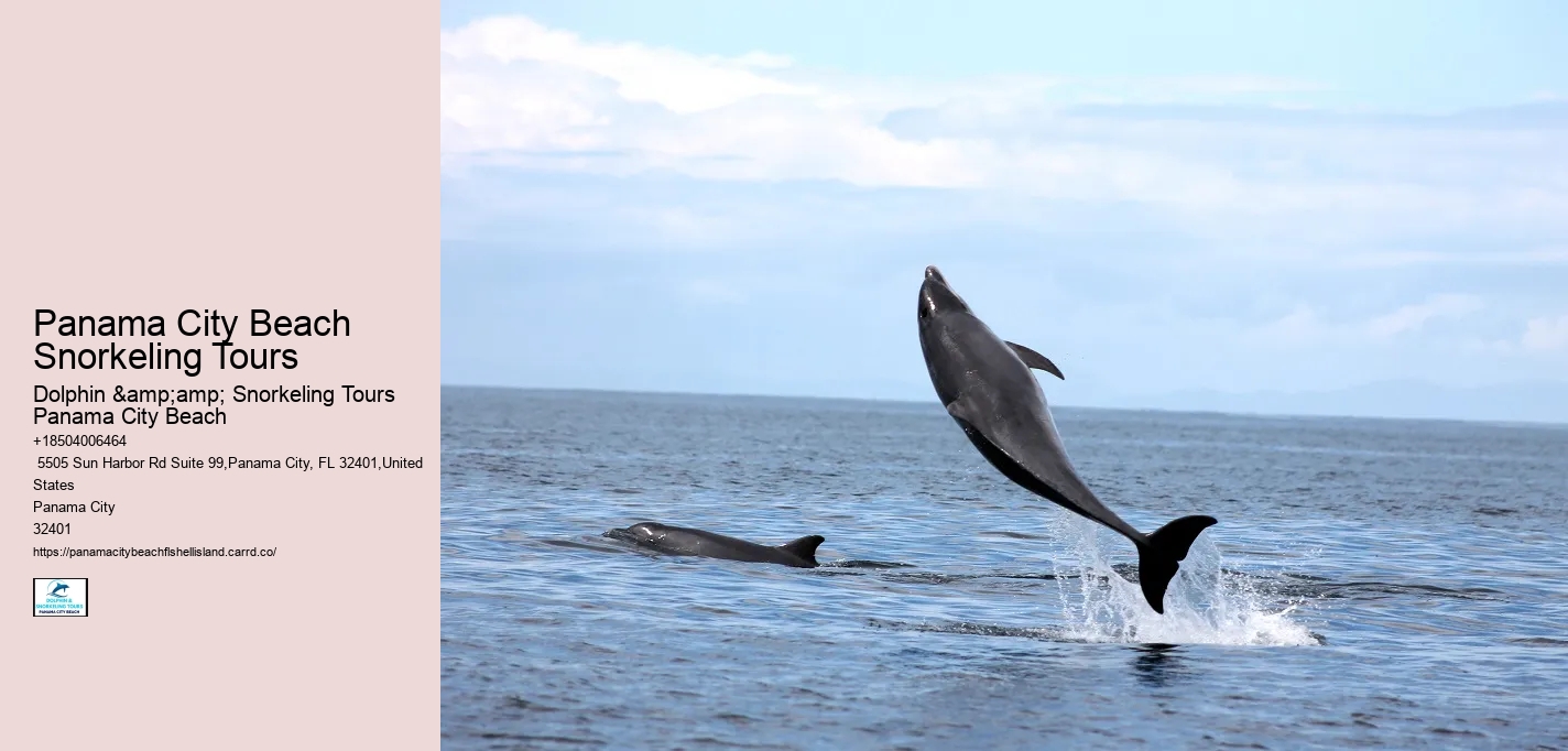 Panama City Beach Snorkeling Tours