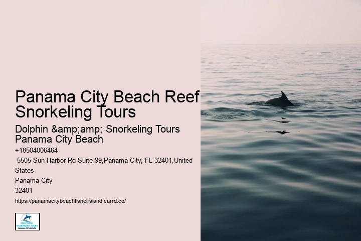 Panama City Beach Snorkel Discovery Tours