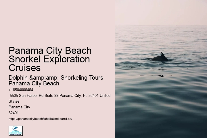 Panama City Beach Snorkel Exploration Cruises