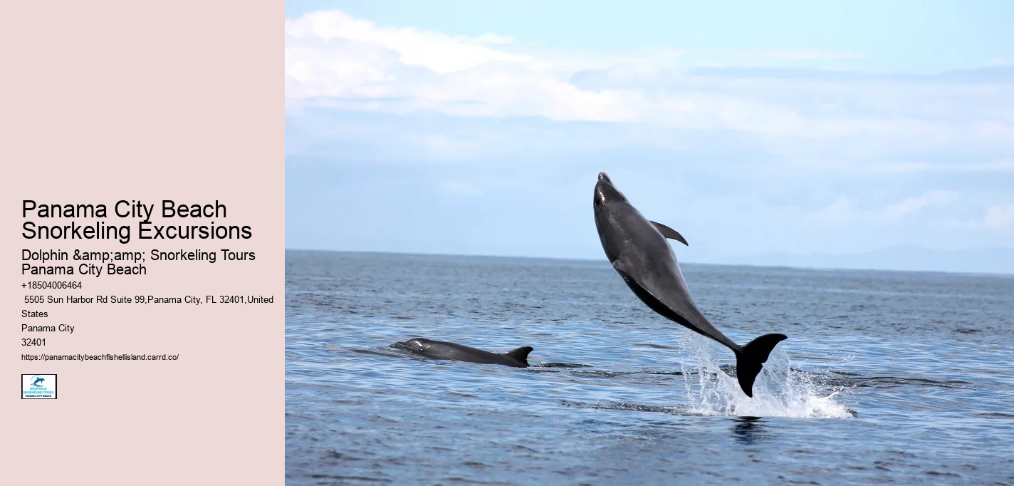 Panama City Beach Snorkeling Excursions