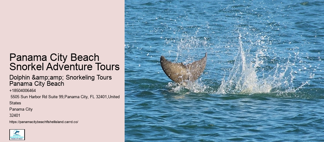 Panama City Beach Snorkeling Tours United