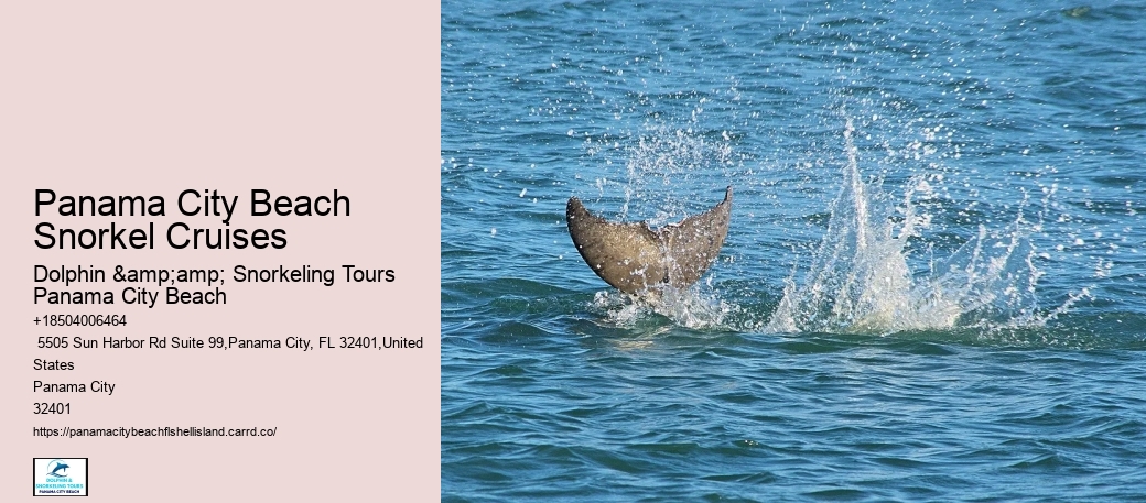 Panama City Beach Snorkeling Tour Old Town Walking
