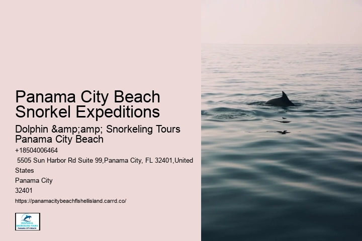 Panama City Beach Snorkeling Tours To Molokini