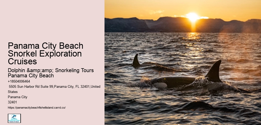 Panama City Beach Snorkeling Tours Dana Point Ca