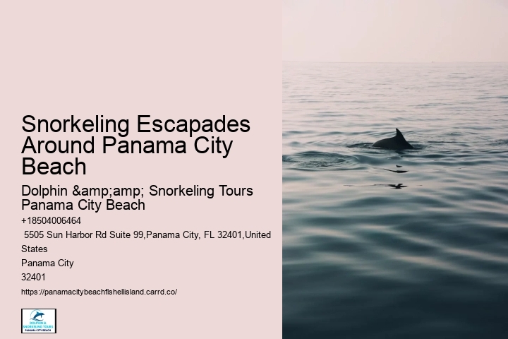 Snorkeling Escapades Around Panama City Beach