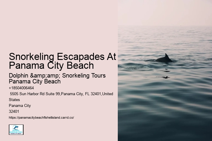 Are The Snorkeling Sites Easily Accessible From Shore