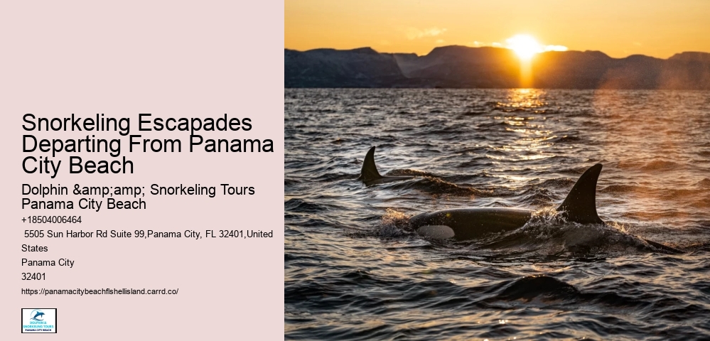 Snorkeling Escapades Departing From Panama City Beach