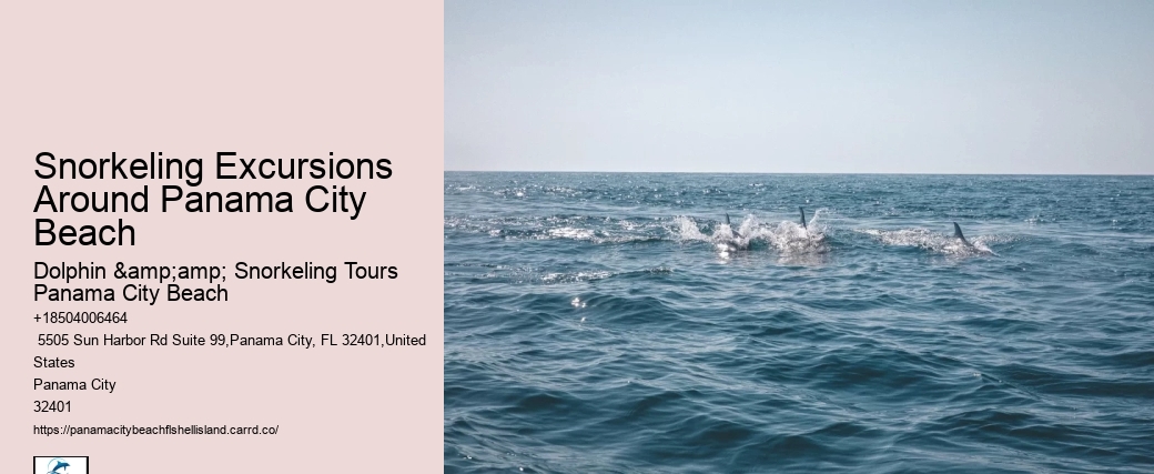Snorkeling Excursions Around Panama City Beach