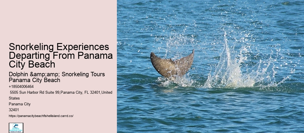 Panama City Beach Snorkeling Tours Andrews Bay