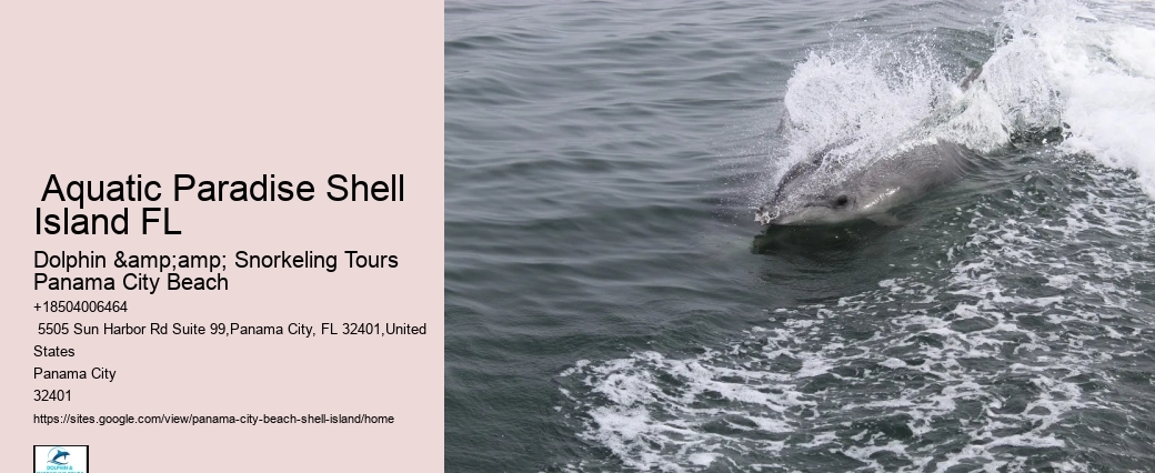  What Time Is The First Shuttle To Shell Island