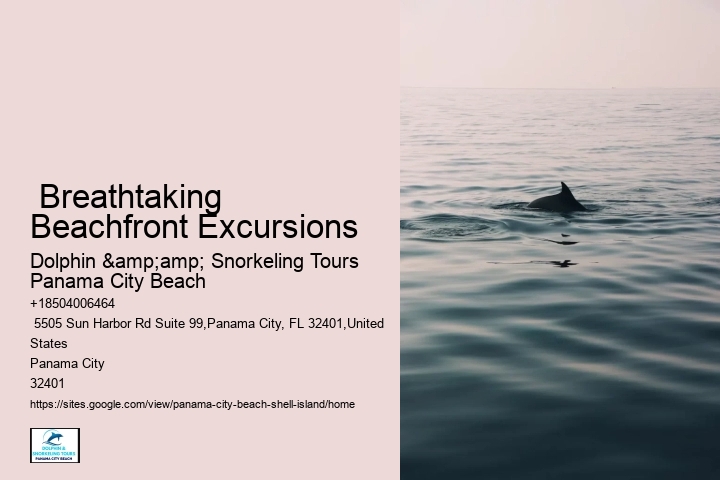  Breathtaking Beachfront Excursions