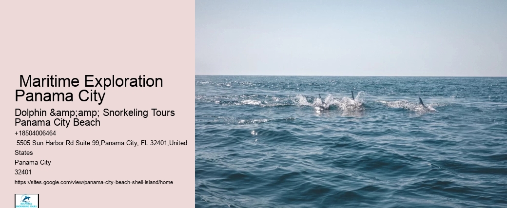  Visit Shell Island