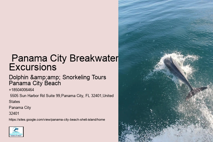  Shelling On Panama City Beach