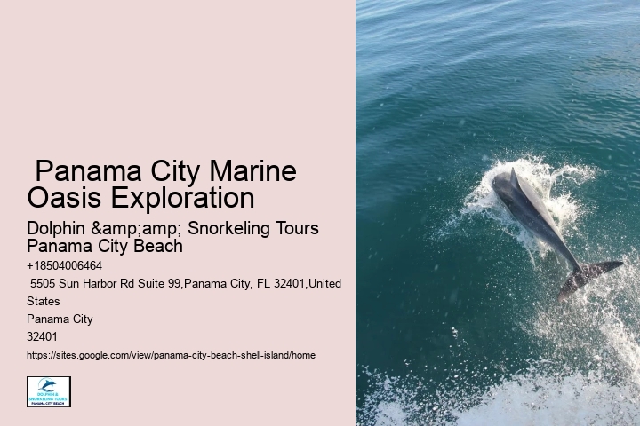  Shell Island Tours Panama City Beach Florida