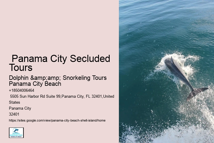  Shell Island Seafaring Excursions