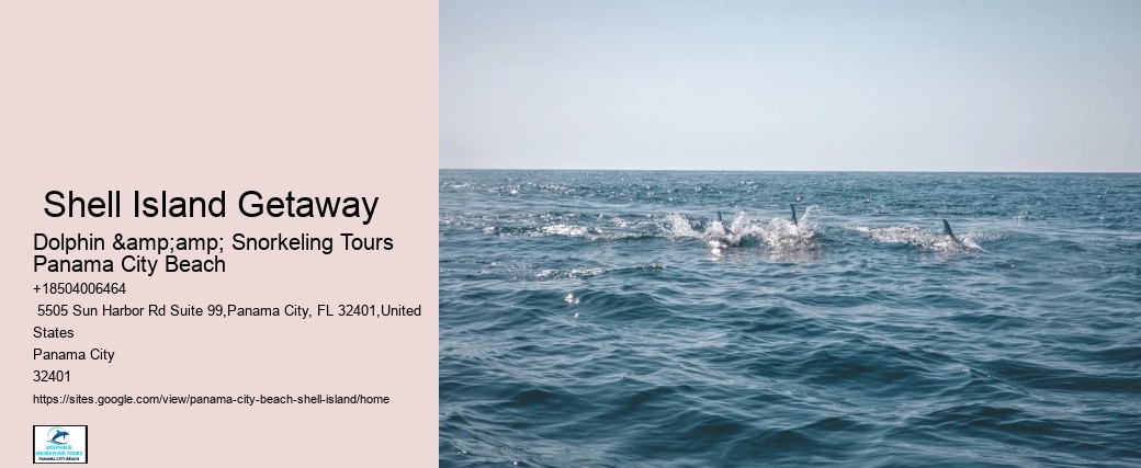  Shell Island Getaway